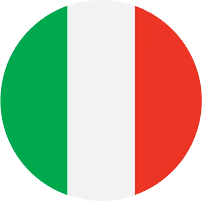 icona lingua selezionata